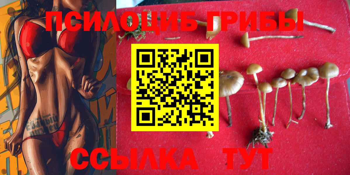 Жигулёвск  Галлюциногенные грибы ЛСД  Вход с VPN 